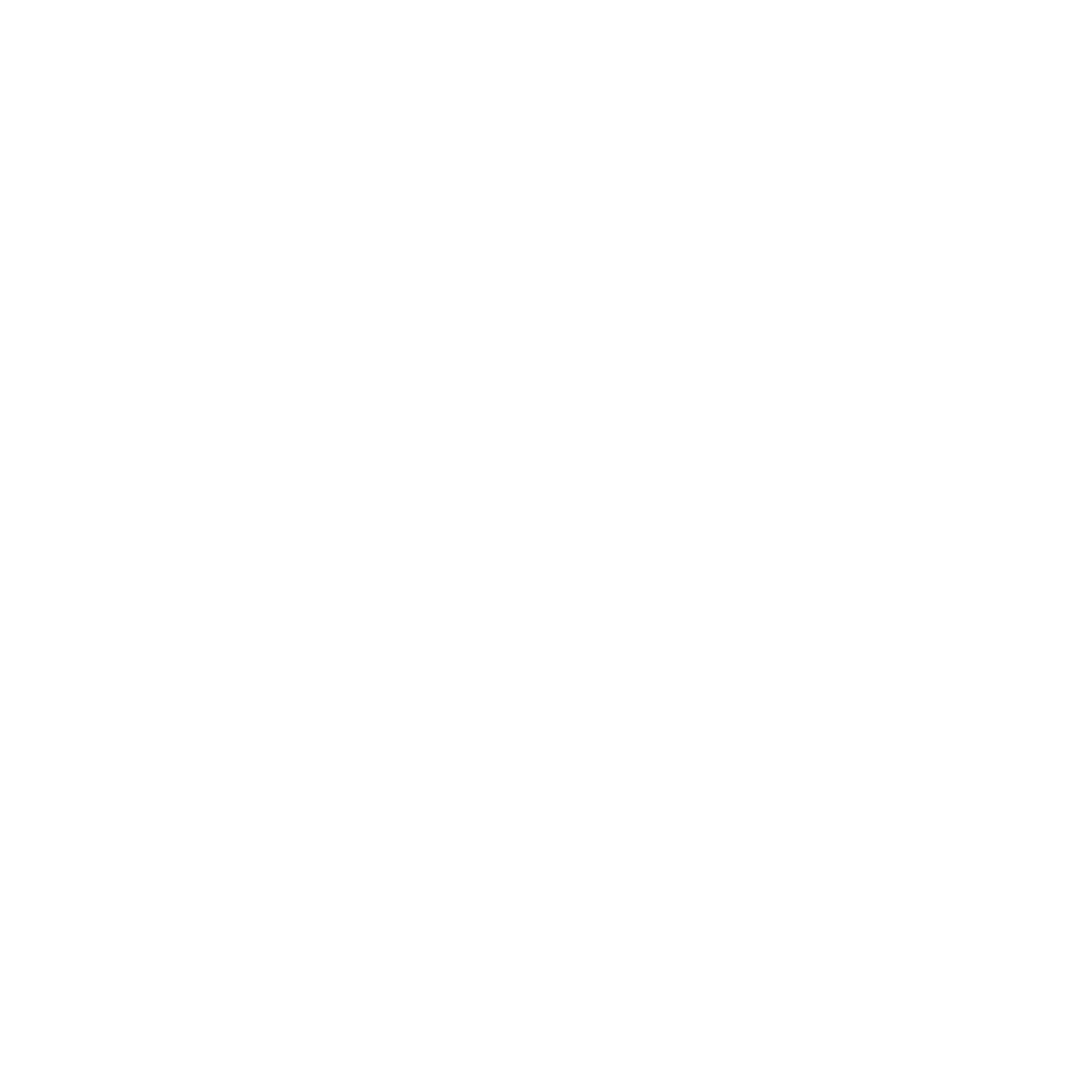 icon-white-png